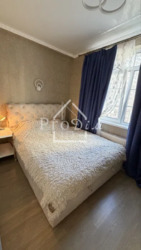 ������� �������� ������� ����������� ���. (������ ��������), 24, ���, �����������, �������, �. ������������ ���� 1