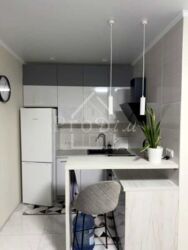 ������� �������� ��������� ���., 2, ���, �����������, �������, �. ������������ ���� 4