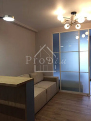 ������� �������� ������� ����������� ���. (������ ��������), 24, ���, �����������, �������, �. ������������ ���� 2