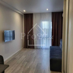 ������� �������� ������� ����������� ���. (������ ��������), 24, ���, �����������, �������, �. ������������ ���� 4