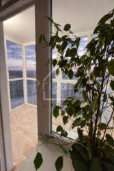 ������� �������� �������� ����������� ���., 15, ���, �����������, �������, �. ������� ���� 10