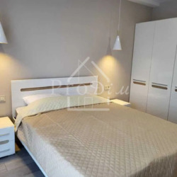 ������� �������� ������� ����������� ���. (������ ��������), 24, ���, �����������, �������, �. ������������ ���� 2