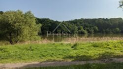 ������� �������� ����� �����., 54�, ���, �����������, �������, �. ��쳿����� ���� 19