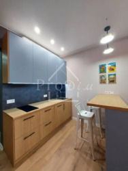 ������� �������� ������� ����������� ���. (������ ��������), 24, ���, �����������, �������, �. ������������ ���� 4