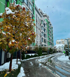 ������� �������� ��������� ���., 2, ���, �����������, �������, �. ������������ ���� 2