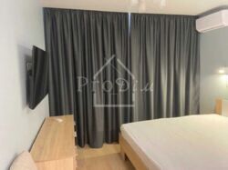 ������� �������� ����� ����� ����� ���. (������� �������������), ���, �����������, �������, �. ������� ���� 1