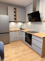 ������� �������� �������� ���., 44, ���, �����������, �������, �. ������������ ���� 4