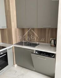 ������� �������� ������������� �����, 43, ���, ����������, ����������, �. ������ ���� 5