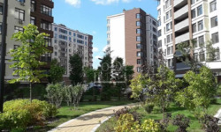 ������� �������� ������� ���., 1, ���, �����������, �������, �. ������������ ���� 10