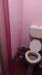 ������ ���� 2