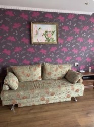  1-      111286833  12