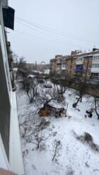 ���� ����������� �������� �� ѳ���� ���� 11