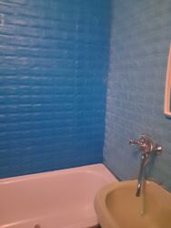 Оренда однокімнатної квартири в центральній частині міста фото 4 Оренда однокімнатної квартири в центральній частині міста фото 4