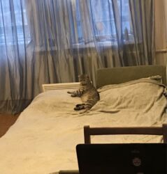 Аренда квартиры р-н Конкорда код №111504454 фото 7 Аренда квартиры р-н Конкорда код №111504454 фото 7