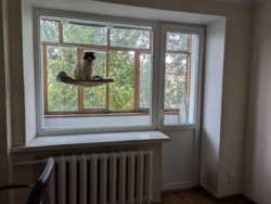 ������ ����������� �������� � ����� �������. ���� 7