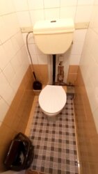  2    5  111495531  4