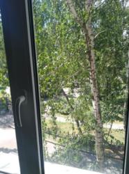 Сдам 1 комнатную квартиру в Берёзовом сквере Объект № 111234794 фото 6 Сдам 1 комнатную квартиру в Берёзовом сквере Объект № 111234794 фото 6