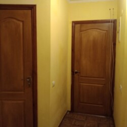      111-815-391  2