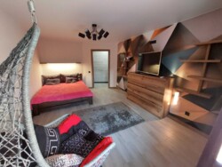 Оренда однокімнатної квартири на подолі з авторським ремонтом фото 4 Оренда однокімнатної квартири на подолі з авторським ремонтом фото 4