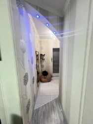 Здається квартира Полтавська, Полтава, Шевченківський (Жовтневий), Центр, Соборності, 77 А фото 2 Здається квартира Полтавська, Полтава, Шевченківський (Жовтневий), Центр, Соборності, 77 А фото 2