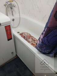 Оренда 1- кімнатної квартири фото 12 Оренда 1- кімнатної квартири фото 12