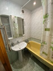 Аренда 1к квартиры на Огнивке №111552240 фото 8 Аренда 1к квартиры на Огнивке №111552240 фото 8