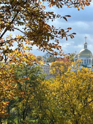 Оренда 1-кімнатної квартири в Центрі Полтави. Свіжий ремонт 13 000 грн. код № 112-003-965 фото 10 Оренда 1-кімнатної квартири в Центрі Полтави. Свіжий ремонт 13 000 грн. код № 112-003-965 фото 10