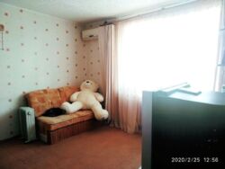 Здам однокімнатну квартиру на Браїлках на тривалий термін. фото 1 Здам однокімнатну квартиру на Браїлках на тривалий термін. фото 1