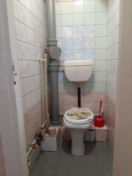 ������ �������� �� ����� ��� �111780582 ���� 8