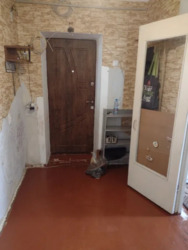 ������� �������� ����� ������, �������, ����������, ���������� ���� 19