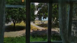 ������ 1 ��������� �� ������� ��� �111698126 ���� 12