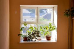 1 ����. ��������, ����� ���. ����� ! ������ � 11796234 ���� 10