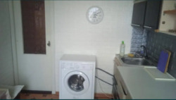 Продаж квартири склозавод код № 112-021-275 фото 4 Продаж квартири склозавод код № 112-021-275 фото 4