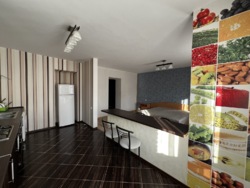 Оренда 1 кімнатної квартири студії на Подолі фото 3 Оренда 1 кімнатної квартири студії на Подолі фото 3