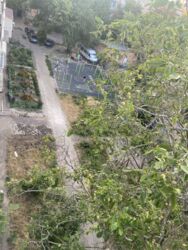 Здається квартира Полтавська, Полтава, Шевченківський (Жовтневий), Центр, сапіго, 5 фото 11 Здається квартира Полтавська, Полтава, Шевченківський (Жовтневий), Центр, сапіго, 5 фото 11