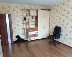 ������ ���������� ������� �������� �� ����� ���� 6