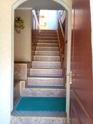 ������ ����� ���� 3