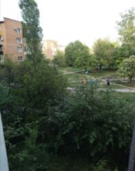 ������ 3 ������� �� ����� ���� 5