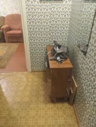  1 .   -  111425908  10