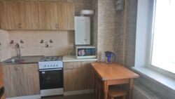 АРЕНДА! 1 ком квартира индивид отопление первая сдача новый дом фото 8 АРЕНДА! 1 ком квартира индивид отопление первая сдача новый дом фото 8