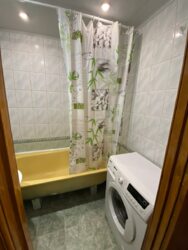 Аренда 1к квартиры на Огнивке №111552240 фото 9 Аренда 1к квартиры на Огнивке №111552240 фото 9