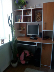 Здається квартира Полтавська, Полтава, Подільський, Червоний шлях фото 1 Здається квартира Полтавська, Полтава, Подільський, Червоний шлях фото 1