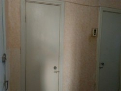  2      11951639  3