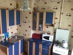 Сдам 1к квартиру на Половках №111491077 фото 5 Сдам 1к квартиру на Половках №111491077 фото 5