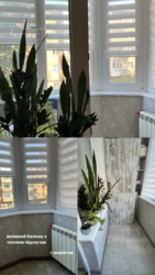 Здається квартира Полтавська, Полтава, Шевченківський (Жовтневий), Центр фото 6 Здається квартира Полтавська, Полтава, Шевченківський (Жовтневий), Центр фото 6