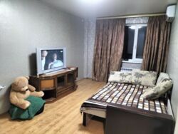 Оренда однокімнатної квартири на Боженка фото 5 Оренда однокімнатної квартири на Боженка фото 5