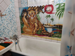 Однокімнатна квартира на Половках фото 10 Однокімнатна квартира на Половках фото 10