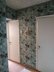 Аренда 1-комн.квартиры р-н Браилки код 111162893 фото 3 Аренда 1-комн.квартиры р-н Браилки код 111162893 фото 3