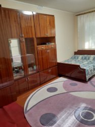  1-   .  111256972  5