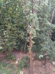 Здається квартира Полтавська, Полтава, Київський, Половки фото 5 Здається квартира Полтавська, Полтава, Київський, Половки фото 5